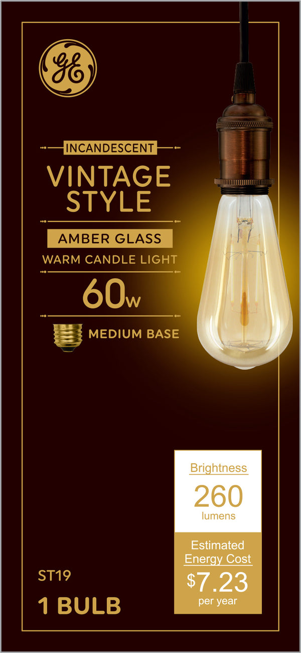 GE Incandescent 60 W Candlelight ST19 Edison Bulb 1 PK